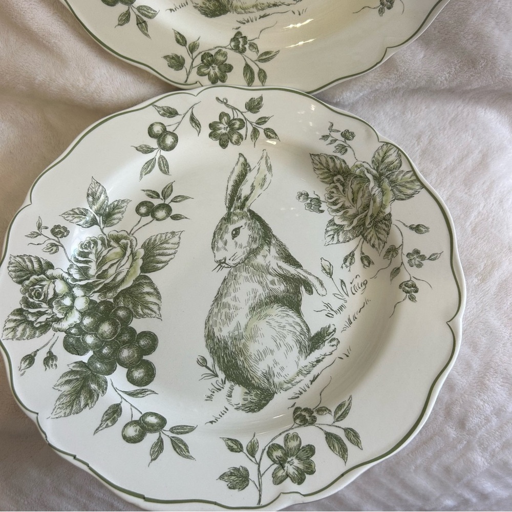 Maxcera Easter Bunny Green White Rose Toile Dinner Plates Set of 4 - NEW - Picture 4 of 4